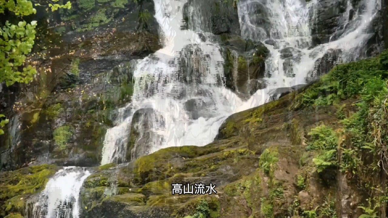9170官方金沙入口